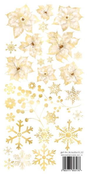 PH_BLNx30x15_02 Błysk Nadziei 02 - PAPIER DWUSTRONNY 15x30,5cm