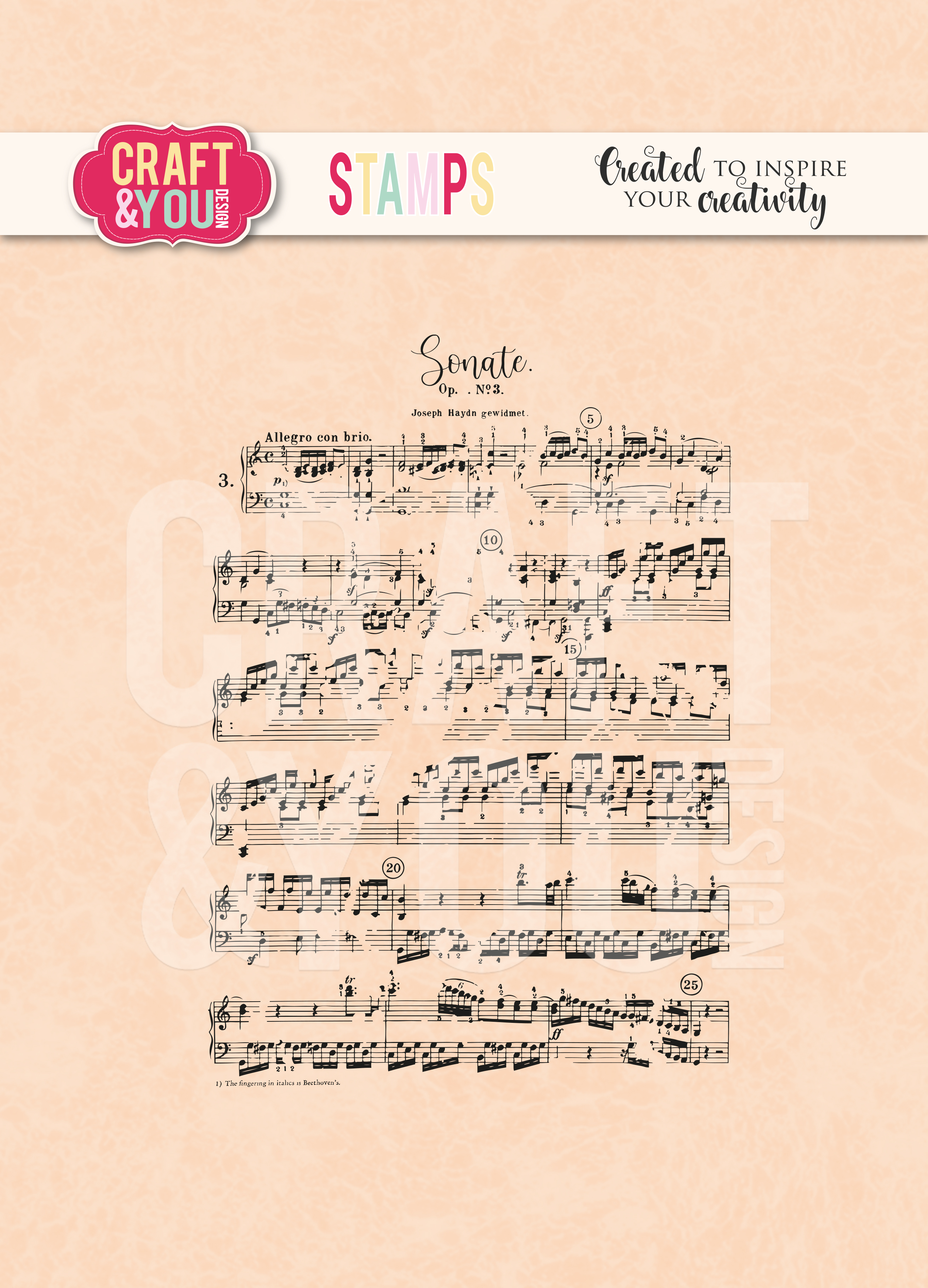 CS032 Zestaw stempli akrylowych - Music notes / Nuty - Craft & You Design