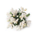 780759-12  Pręciki do kwiatów na druciku / bukiecik -jasny kremowy