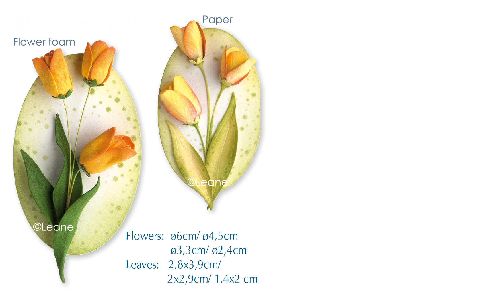  45.5657 Wykrojnik Leane Creatief - tulipan 3D