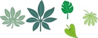 Wykrojniki Tropical Leaves B119