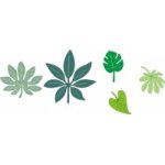 Wykrojniki Tropical Leaves B119
