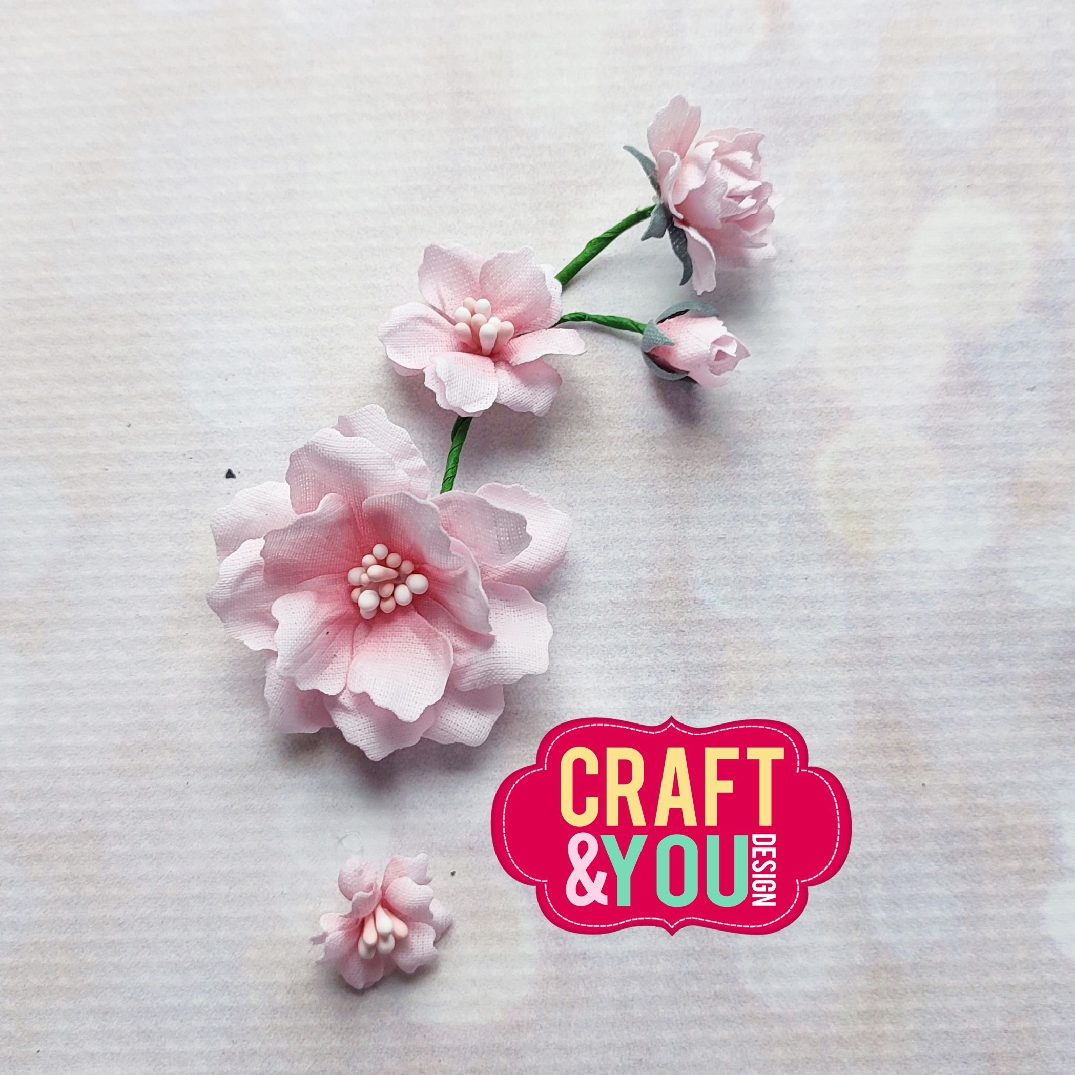 CW258 Wykrojnik /Die- Magda's Flower Stalks / Szypułki - Craft&You Design