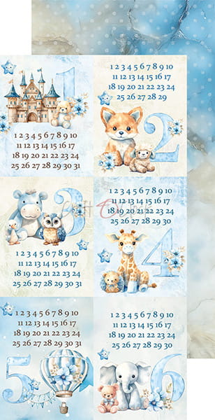 CC-C66-BT-11 BOY & TOY - ZESTAW DODATKÓW - FLOWERS