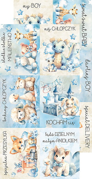 CC-C66-BT-11 BOY & TOY - ZESTAW DODATKÓW - FLOWERS