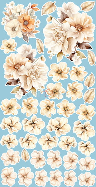 CC-C66-BT-11 BOY & TOY - ZESTAW DODATKÓW - FLOWERS