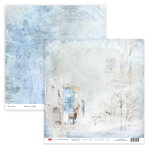 CPS-PT30-6 Zestaw/ Paper set 30,5x30,5cm- Paint Over The Winter -6 Craft & You Design