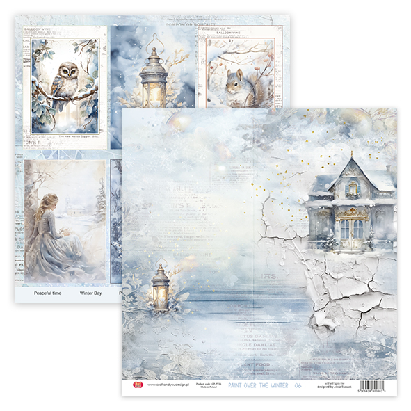 CPS-PT30-6 Zestaw/ Paper set 30,5x30,5cm- Paint Over The Winter -6 Craft & You Design