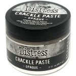 TDA71303 Pasta pękająca Ranger • Tim Holtz Distress Crackle Paste Opaque