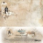 AA-NB-12  Alchemy of Art - 6x6'' - zestaw papierów-Natural beautiful 