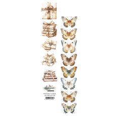 AA-NB-EXT-03 PASECZEK/ STRIPS