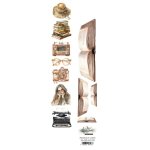 AA-NB-EXT-04 PASECZEK/ STRIPS