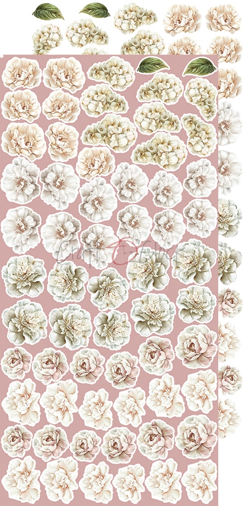 CC-C73-RE-13 ROSE EMOTIONS- zestaw DODATKÓW - MIX