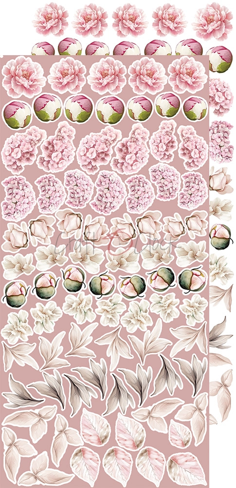 CC-C73-RE-13 ROSE EMOTIONS- zestaw DODATKÓW - MIX