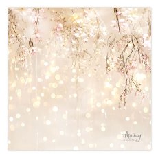 MT-PHB-44  Mintay Basic - Photo backdrops, 60 x 60 cm - 44