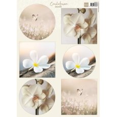 VK9624 Arkusz A4 -Marianne Design -Condolance - Orchid 