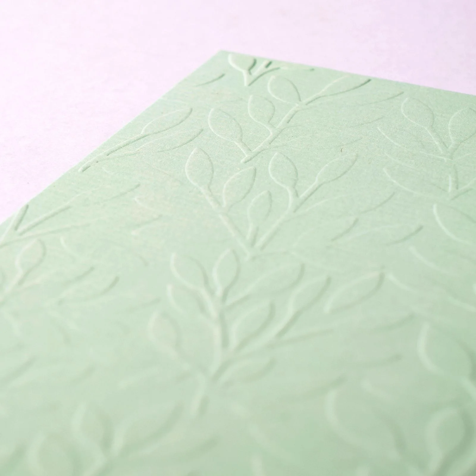 100605-038 Folder do embossingu 10,7x14,6cm - Branches with Leaves