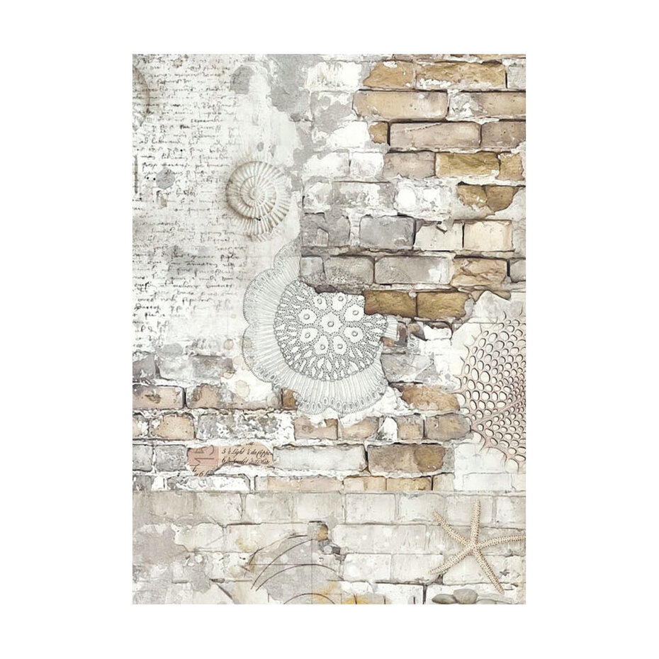 DFSAK6040 Papier ryżowy Stamperia Silent Sea A6 Rice Paper Backgrounds (8szt.)