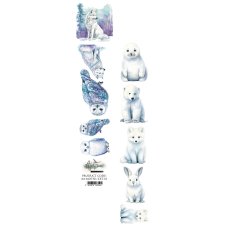 AA-MOTNL-EXT-01 PASECZEK/ STRIPS z dodatkami Magic of the Northern Lights