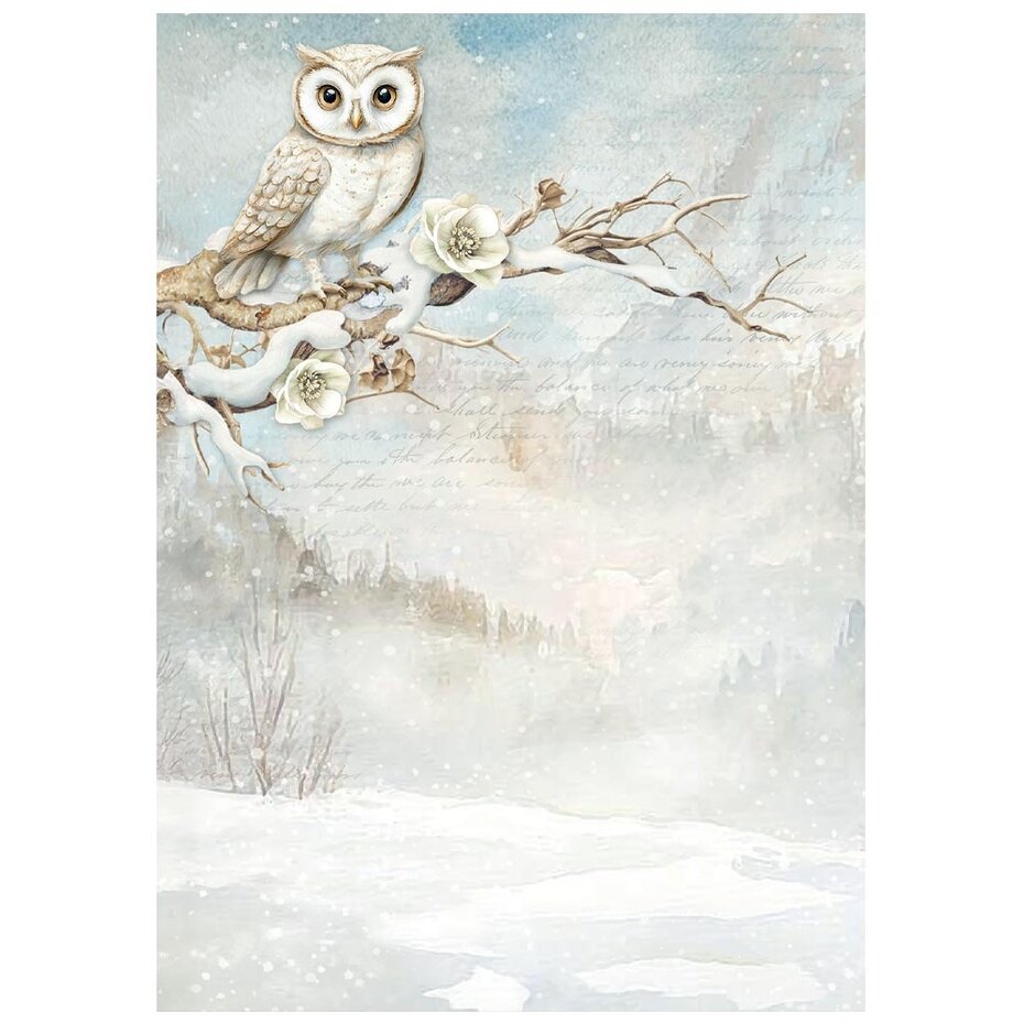 DFSAK6044 Papier ryżowy Stamperia The Owl's House A6 Rice Paper Backgrounds (8szt.)