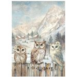 DFSA41054 Papier ryżowy Stamperia The Owl's House A4 Rice Paper- 3 Owls-sowy