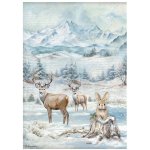 DFSA41055 Papier ryżowy Stamperia The Owl's House A4 Rice Paper- Wildlife