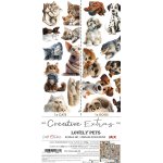 CC-CEX-MIX-02 CREATIVE EXTRAS - MIX 02 -LOVELY PETS- zestaw DODATKÓW