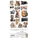 CC-CEX-03 CREATIVE EXTRAS - 03 - CATS - zestaw DODATKÓW 