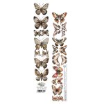 AA-IS-ext-04 PASECZEK/ STRIPS z dodatkami In silence / W ciszy