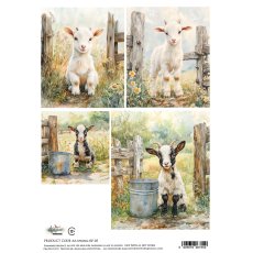 AA-SPRING-RP-05 Papier ryżowy  A4 -SPRING 05