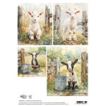 AA-SPRING-RP-05 Papier ryżowy  A4 -SPRING 05