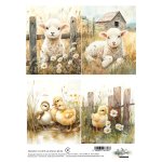 AA-SPRING-RP-06 Papier ryżowy  A4 -SPRING 06