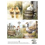 AA-SPRING-RP-07 Papier ryżowy  A4 -SPRING 07