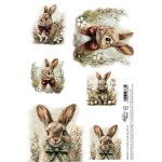 AA-SPRING-RP-10 Papier ryżowy  A4 -SPRING 10