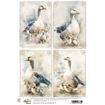 AA-SPRING-RP-15 Papier ryżowy  A4 -SPRING 15