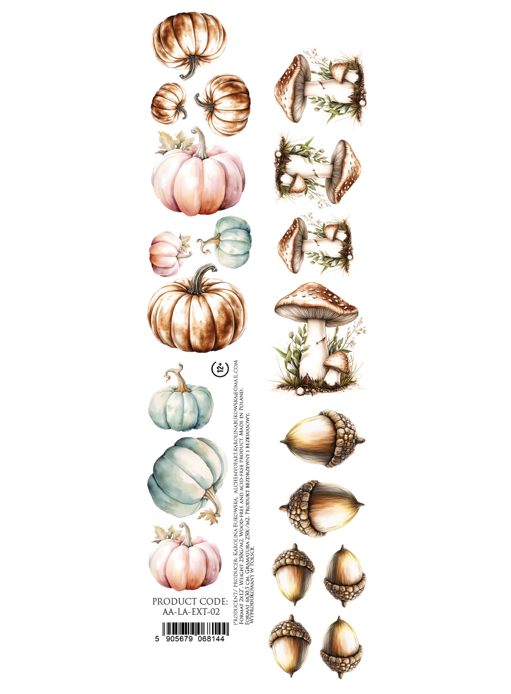 AA-LA-EXT-02 PASECZEK/ STRIPS z dodatkami Lovely Autumn
