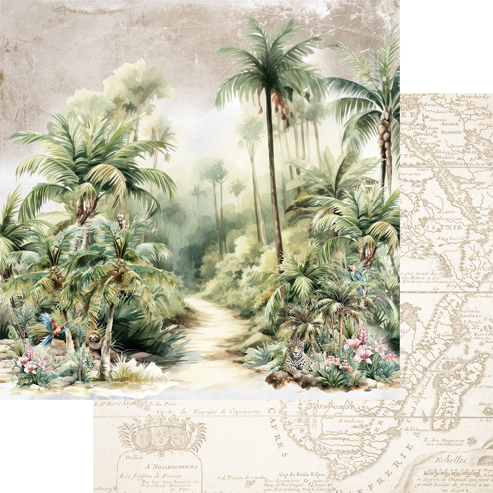 AA-WA-07 Alchemy of Art- 12x12'' -Zestaw papierów do scrapbookingu Wild adventures