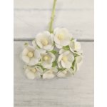 AC-S10m-1 Papierowe kwiatki Achillea Cottage I am Roses -WHITE - biały- pęczek 10 szt