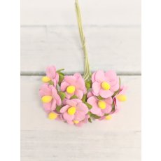 AC-S10m-4 Papierowe kwiatki Achillea Cottage I am Roses -PINK-  różowy -pęczek 10 szt