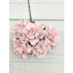 CF-G2-4 Papierowe róże Curly Flowers I am Roses - BABY PINK-jasny róż -pęczek 5 szt