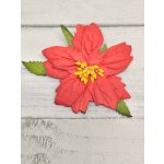 CF1-12 Papierowa poinsecja – gwiazda betlejemska- czerwona- duża- I am Roses 1 szt 