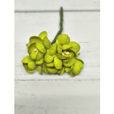 CHB-S3-8 Papierowe kwiaty wiśni Cherry Blossoms I am Roses –LIME GREEN- soczysta zieleń-5 szt