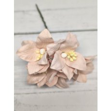 LY1-122 Lilie papierowe I'm Roses - PALE BLUSH PINK -  jasny pudrowy róż - 5 szt