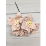 LY1-122 Lilie papierowe I'm Roses - PALE BLUSH PINK -  jasny pudrowy róż - 5 szt