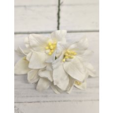LY1-15 Lilie papierowe I'm Roses - WHITE-  białe - 5 szt