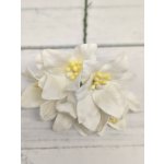 LY1-15 Lilie papierowe I'm Roses - WHITE- białe - 5 szt