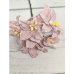 LY1-188 Lilie papierowe I'm Roses - SOFT LILAC PURPLE- delikatny liliowy- 5 szt