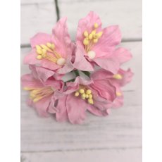 LY1-3 Lilie papierowe I'm Roses - PINK - różowy- 5 szt