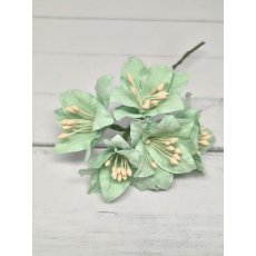 LY1-450 Lilie papierowe I'm Roses - SOLID AQUA BLUE -akwamarynowy- 5 szt