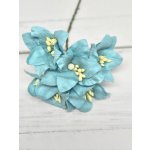 LY1-451 Lilie papierowe I'm Roses - LIGHT TURQUISE BLUE -jasny turkusowy- 5 szt